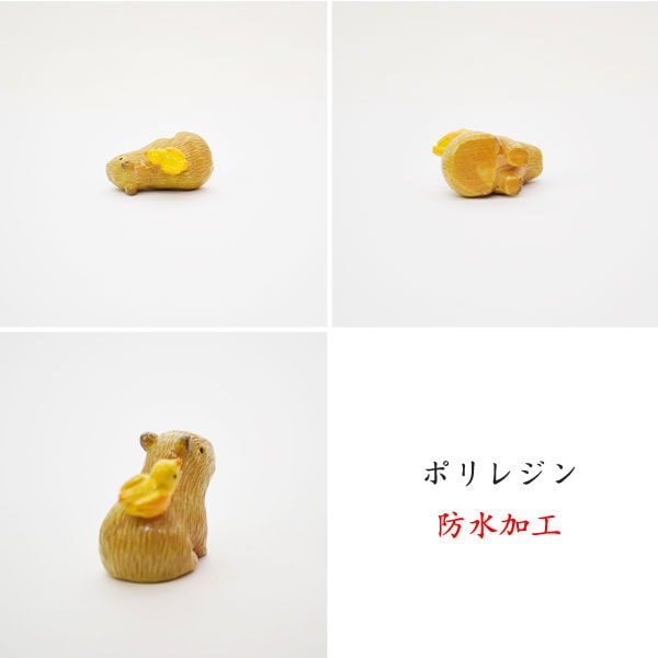 ����ƥꥢ����:���ߡ���ʪ:�ߥ˥��奢�ޥ����å�