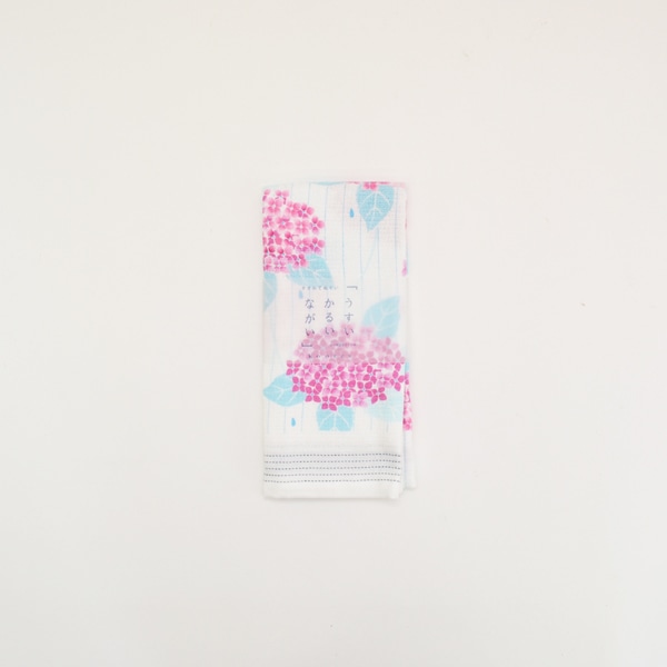 ����ƥꥢ����:������:��̤��������롦�Ϥ����⥬����