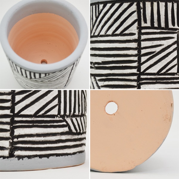 �������ƥꥢ�������ǥ˥�:ȭ���ץ�󥿡����ݥå�:�ƥ饳�å�ȭ