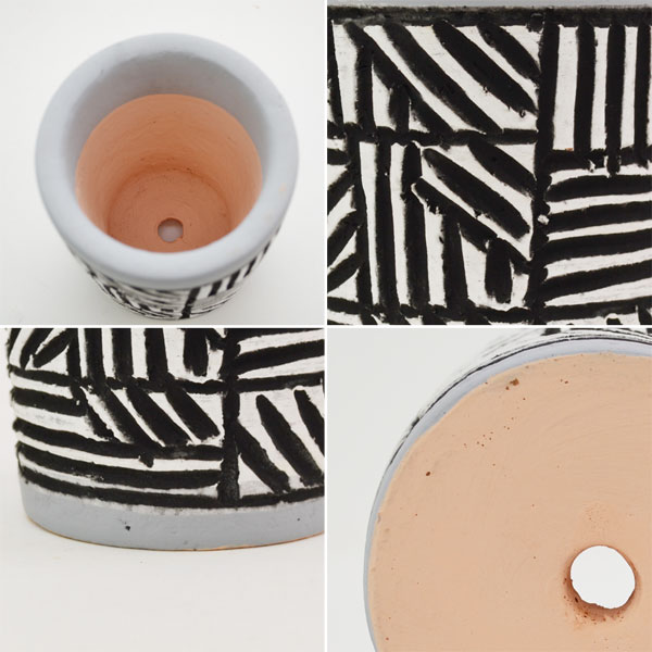 �������ƥꥢ�������ǥ˥�:ȭ���ץ�󥿡����ݥå�:�ƥ饳�å�ȭ