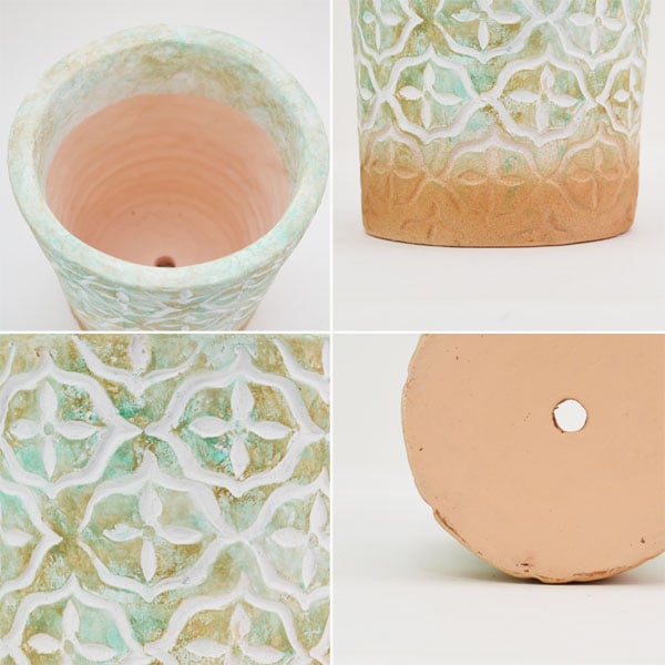 �������ƥꥢ�������ǥ˥�:ȭ���ץ�󥿡����ݥå�:�ƥ饳�å�ȭ