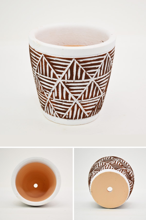 �������ƥꥢ�������ǥ˥�:ȭ���ץ�󥿡����ݥå�:�ƥ饳�å�ȭ