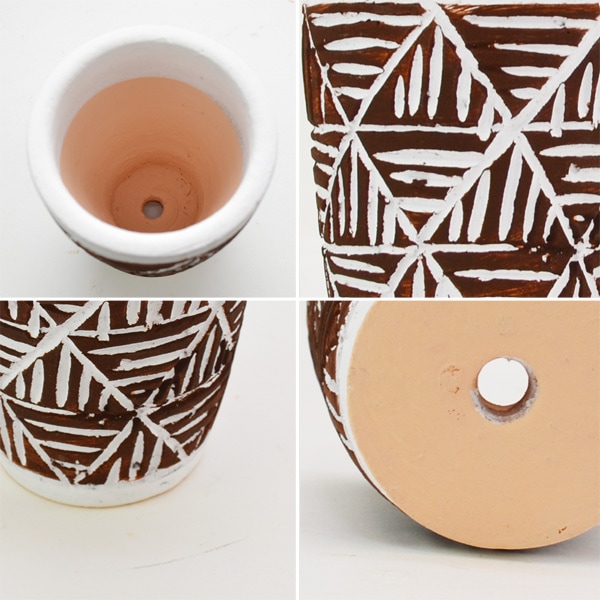 �������ƥꥢ�������ǥ˥�:ȭ���ץ�󥿡����ݥå�:�ƥ饳�å�ȭ