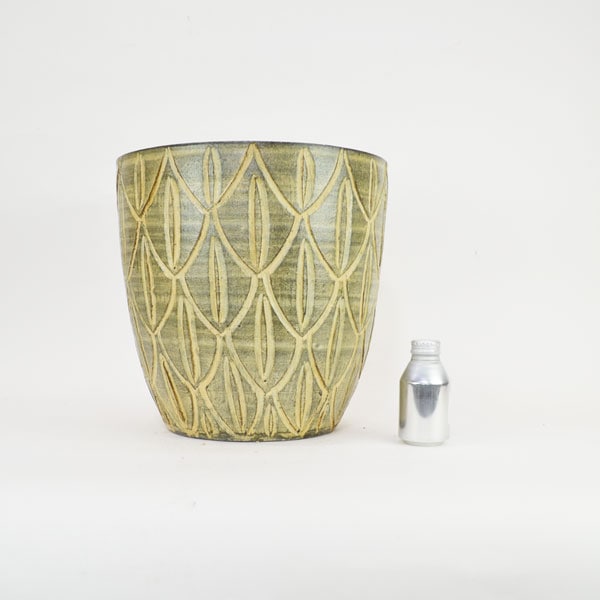 �������ƥꥢ�������ǥ˥�:ȭ���ץ�󥿡����ݥå�:�ƥ饳�å�ȭ