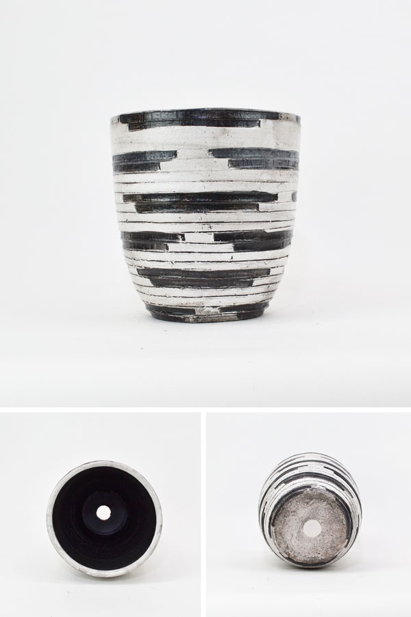 ����ƥ���������ȭ