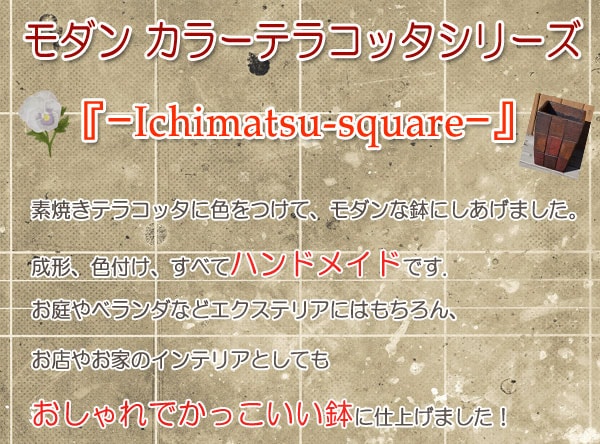 󥫥顼ƥ饳åȭ Ichimatsu-square Ծȭ