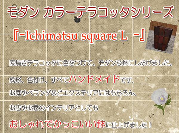 󥫥顼ƥ饳åȭ Ichimatsu-square L Ծȭ