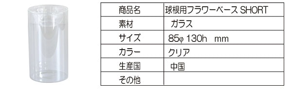 BULBVASESHORT庬ѥե١硼