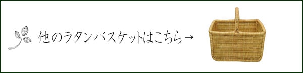 饿󤹤ԤߥХåȤɥ꡼Хå