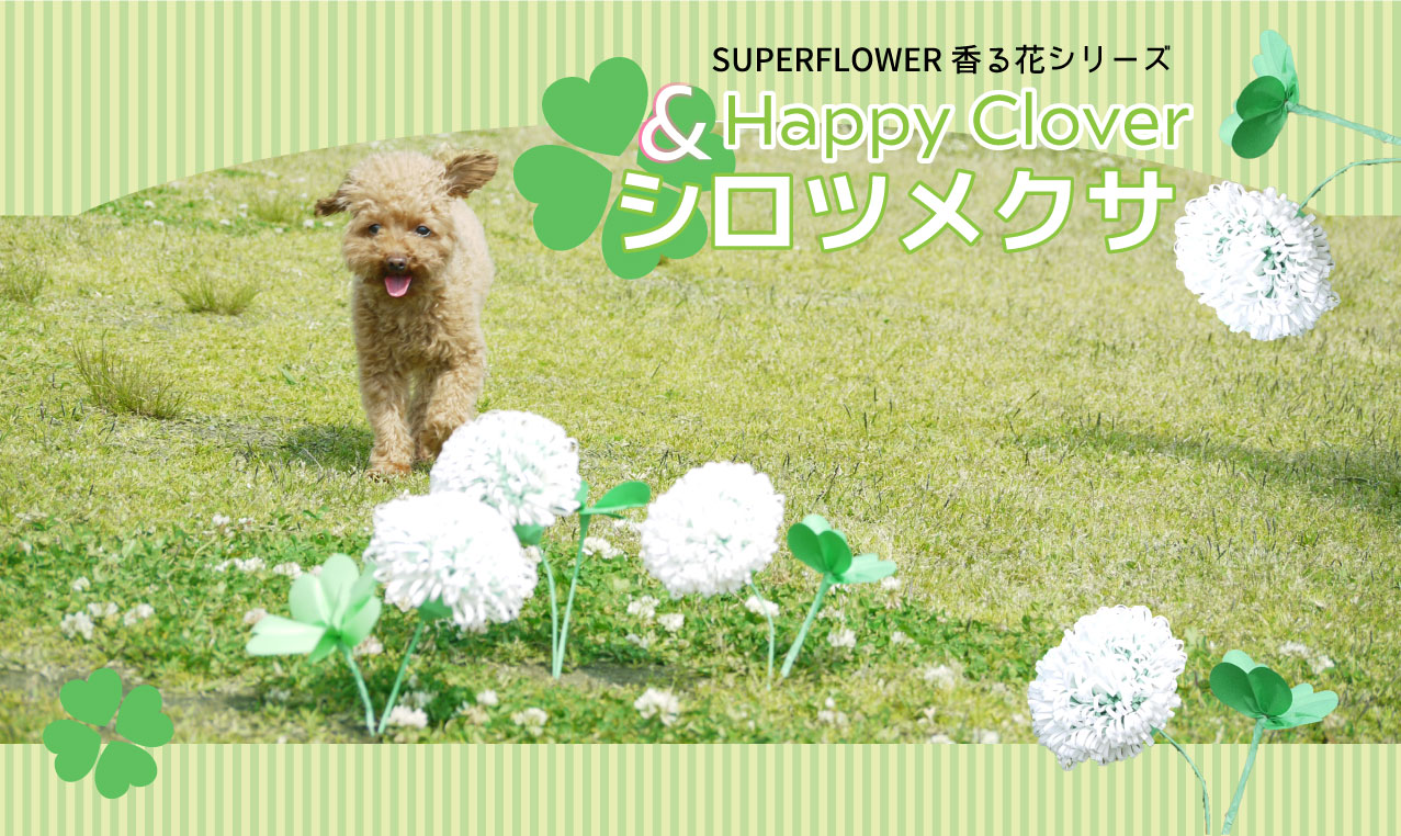 SUPERFLOWER香る花シリーズ  &Happy Clover シロツメクサ