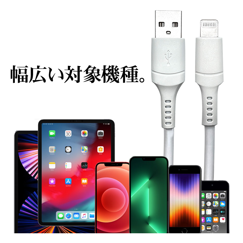 iPhone iPod iPad MFi認証 2.4A ライトニング USB 充電・通信ケーブル Lightning USB-A ホワイト 2m  R20CAAL2A02WH ラスタバナナ | GIGAスクール,充電器,充電ケーブル | ラスタバナナダイレクト