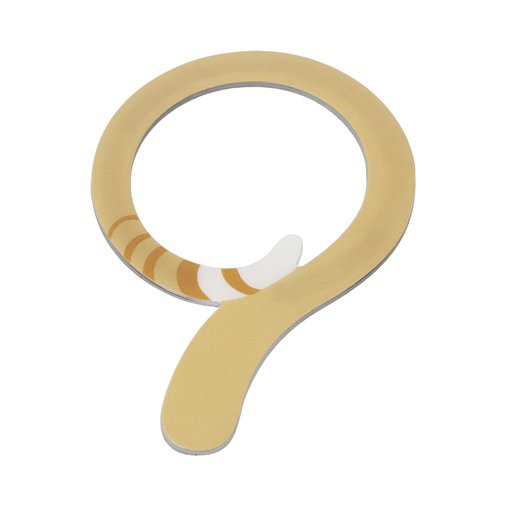 ���ʲ���