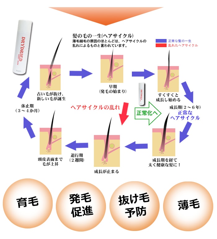 まるで瞬間発毛剤のような育毛剤！？発毛促進＆育毛剤ドライドライド QZ-3D 120ml 【育毛スプレー】【医薬部外品】 | 育毛・発毛促進,育毛・ 発毛促進剤 | リアンドゥ・モール