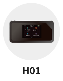 H01
