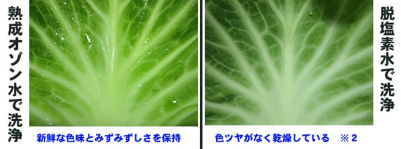 野菜洗浄実験