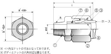 超级看点立体图