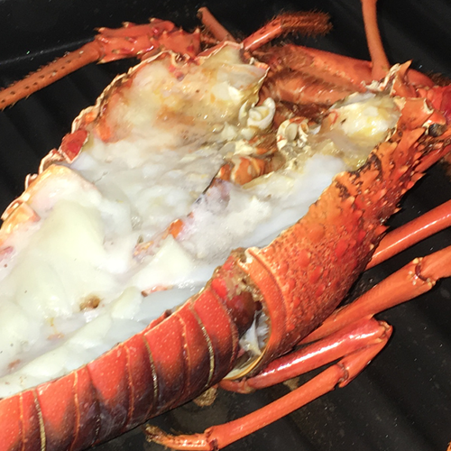 伊勢海老の干物【冷凍配送】【送料込】