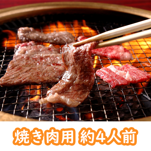 松阪牛 焼き肉用 （モモ・バラ・カタ） ギフト箱入り　８００ｇ