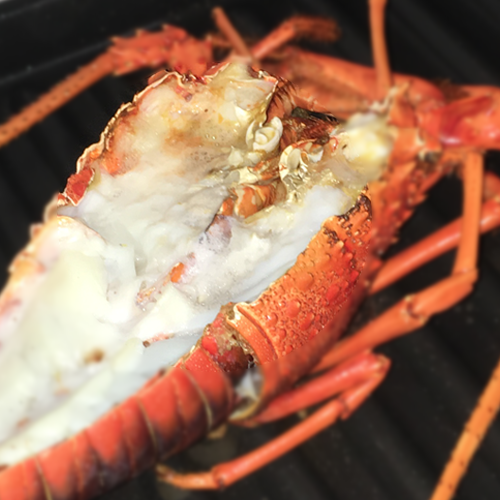 【まとめ買い割引あり】伊勢海老の干物【冷凍配送】【送料込】