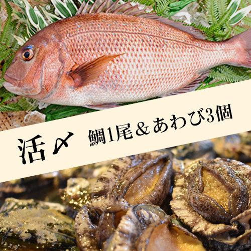 紀州みやび鯛（三重県産）とアワビのセット