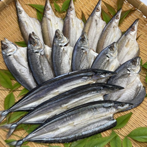 【干物セット】トロアジ・カマス・サンマ【送料込】