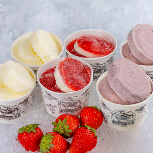 生しぼりジャージーミルクジェラートの写真