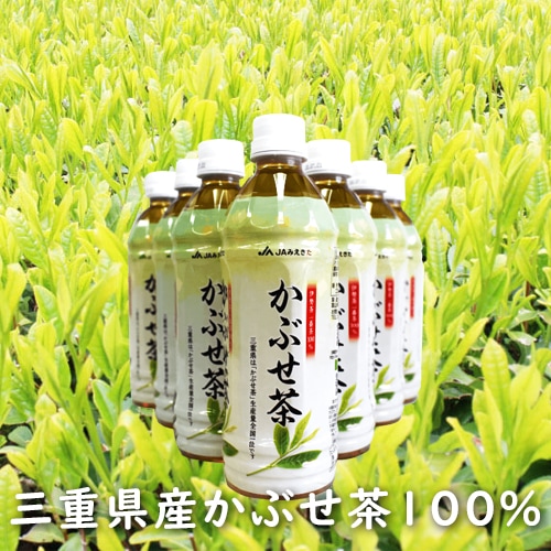 かぶせ茶(500ml×24本)の写真(三重県産かぶせ茶100%)