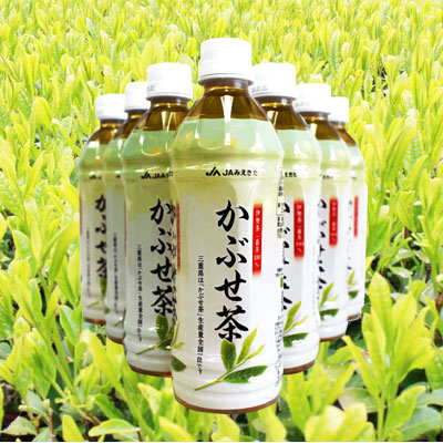 かぶせ茶 (500ml×24本)