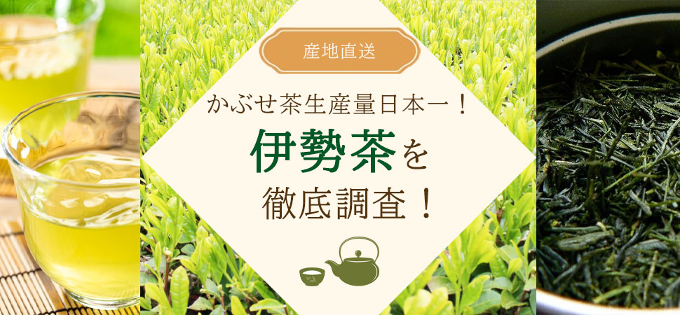 産地直送！「伊勢茶」を徹底調査！