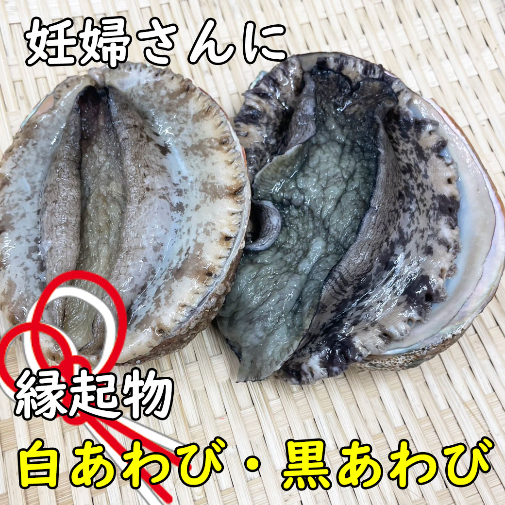 【縁起物】夫婦あわび(白あわび・黒あわび)【冷蔵配送】