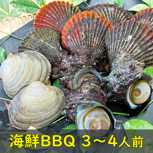 【海鮮バーベキューセット】ヒオウギ貝、サザエ、大アサリ(3～4人前)【冷蔵配送】