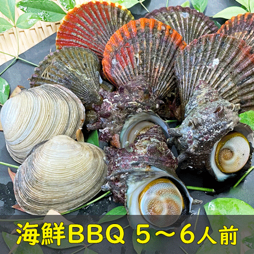 【海鮮バーベキューセット】ヒオウギ貝、サザエ、大アサリ(5～6人前)【冷蔵配送】