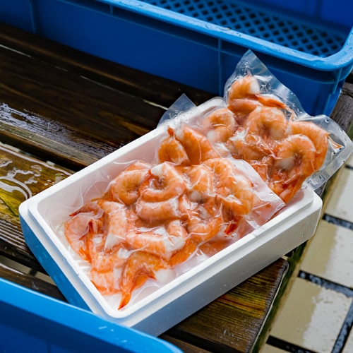 旨みたっぷりガスエビ