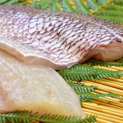 ≪鮮魚≫紀州みやび鯛