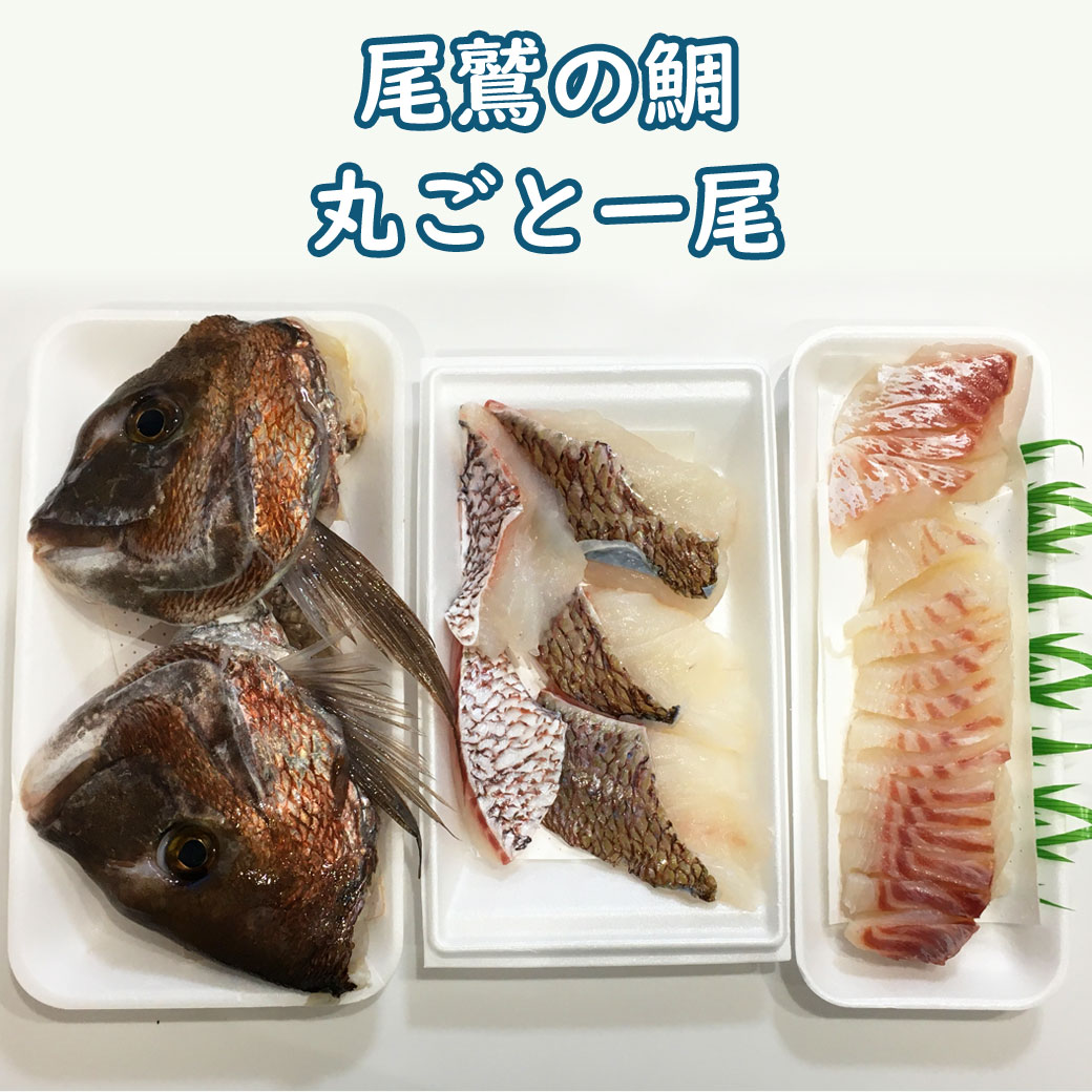 尾鷲の鯛・食べられるとこだけ丸ごと1尾セット【送料込】の写真