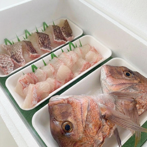 尾鷲の鯛・食べられるとこだけ丸ごと1尾セット