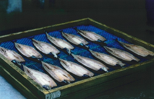 天日干しの写真