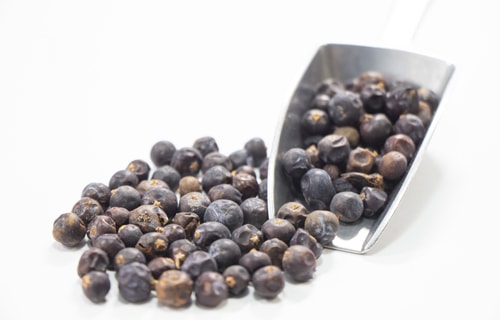 junipa-veri- 
     の写真