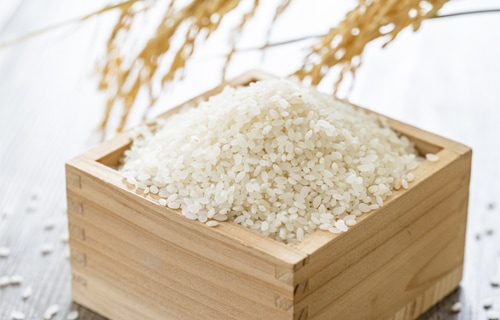 米の写真
