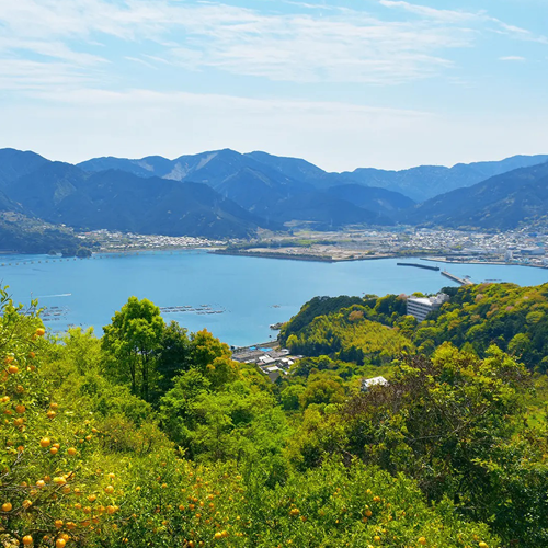 太陽と潮風