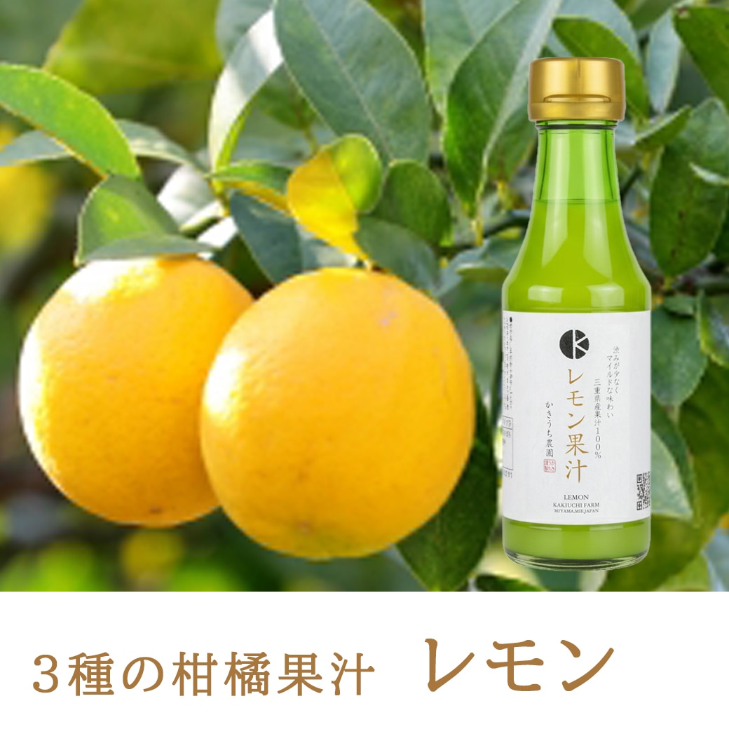 温州みかんの写真