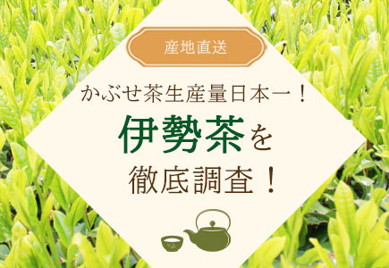 伊勢茶を徹底調査特集のバナー