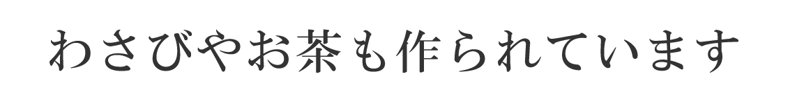 わさびやお茶も作られています