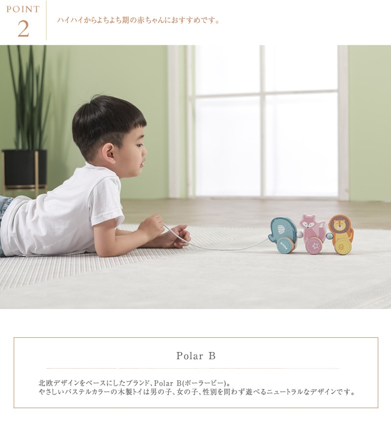 Polar B �ݡ��顼�ӡ� ���ͤ��ͥȥ쥤��   �֤���� �٥ӡ� ������� �ڤΤ������ �̲� �л��ˤ� �ץ�ȥ� �ż� ���ʪ  