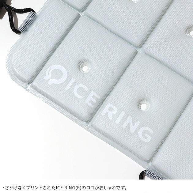 ICE CARRY (S)  Ǯкå 뤵кå Ҷ  ɥ å Ҥ ꡼ ICE RING   