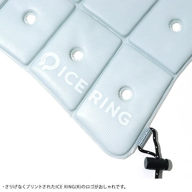 ICE CARRY (M)  Ǯкå 뤵кå Ҷ   ⹻ å Ҥ ꡼ ICE RING   