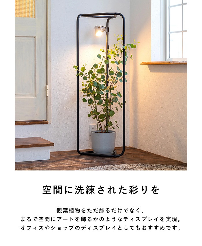 TETSUNAGI �ƥĥʥ� PIPE 3  �ǥ����ץ쥤 �����ץ��å� ������� �ϥ󥬡���å� �������� �������� ������ �����ȥϥ󥬡� ����ץ� ����ƥꥢ �ȶ� ��Ǽ  