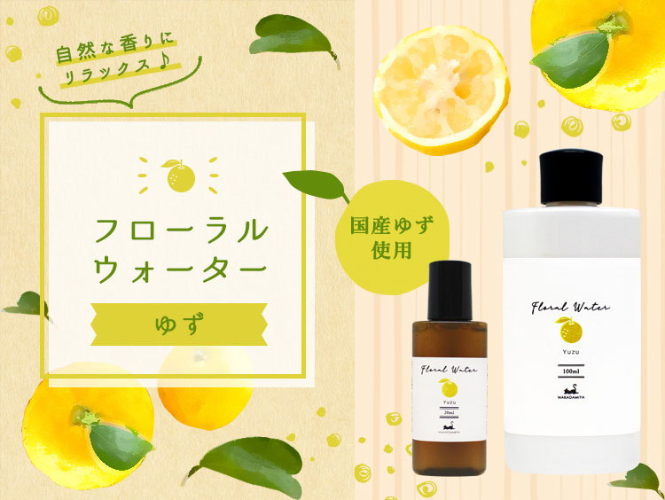 �椺��α��