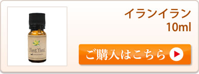 アロマオイル エッセンシャルオイル 天然オイル専門店 マカダミ屋 公式オンラインショップ