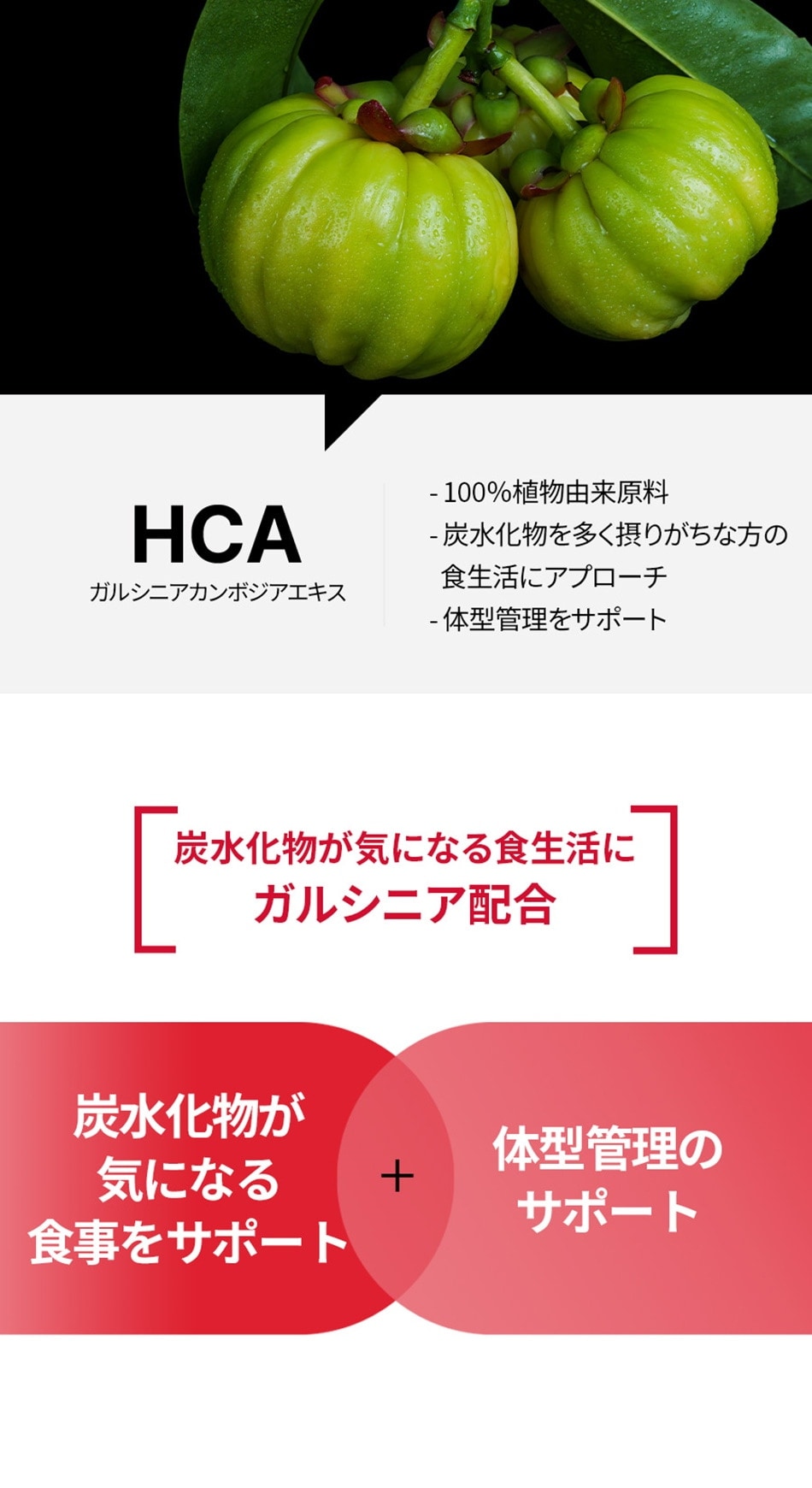 美容習慣 インナーケア 健康